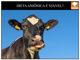 19
DIETAANIÔNICA É VIÁVEL?
 