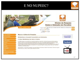 E NO NUPEEC?
57
 