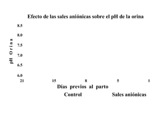 21 15 8 5 1
Días previos al parto
Control Sales aniónicas
8.5
8.0
7.5
7.0
6.5
6.0
pHOrina
Efecto de las sales aniónicas sobre el pH de la orina
 