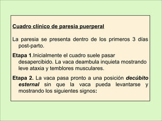 Cuadro clínico de paresia puerperal
La paresia se presenta dentro de los primeros 3 días
post-parto.
Etapa 1.Inicialmente el cuadro suele pasar
desapercibido. La vaca deambula inquieta mostrando
leve ataxia y temblores musculares.
Etapa 2. La vaca pasa pronto a una posición decúbito
esternal sin que la vaca pueda levantarse y
mostrando los siguientes signos:
 