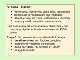 (2ª etapa – Signos):
 morro seco, hipotermia, pulso débil, taquicardia
 parálisis de la musculatura lisa (midriasis,
 falta de eructo, de rumia, defecación y micción)
 cabeza y cuello en actitud característica
Esta es la etapa más comúnmente observada y que
responde rápidamente a la administración EV de
calcio.
Etapa 3. Se presenta si no se atiende la 2ª etapa:
 decúbito lateral con flacidez completa
 meteorismo y pérdida del sensorio
 pulso muy débil, FC cercana a 120 pm
 riesgo de muerte.
 