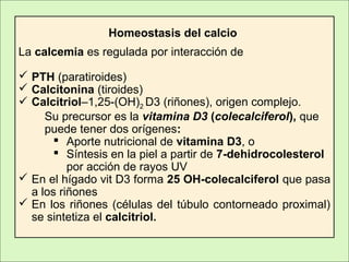 Homeostasis del calcio
La calcemia es regulada por interacción de
 PTH (paratiroides)
 Calcitonina (tiroides)
 Calcitriol–1,25-(OH)2 D3 (riñones), origen complejo.
Su precursor es la vitamina D3 (colecalciferol), que
puede tener dos orígenes:
 Aporte nutricional de vitamina D3, o
 Síntesis en la piel a partir de 7-dehidrocolesterol
por acción de rayos UV
 En el hígado vit D3 forma 25 OH-colecalciferol que pasa
a los riñones
 En los riñones (células del túbulo contorneado proximal)
se sintetiza el calcitriol.
 