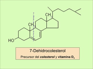 7
-
D
e
h
i
d
r
o
c
o
l
e
s
t
e
r
o
l
7-Dehidrocolesterol
Precursor del colesterol y vitamina D3
 