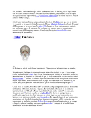 asta occipital. En la terminología actual, los términos Asta de Amón y pie del hipocampo
son utilizados como sinónimos, aunque este último término generalmente se reserva para
las digitaciones del hipocampo ([TA]: dititationes hippocampi), las cuales elevan la porción
anterior del hipocampo.
Este órgano fue inicialmente relacionado con el sentido del olfato, más que por su función
ya conocida en la adquisición de la memoria. El ruso Vladímir Béjterev tomó nota del papel
del hipocampo en la memoria en los años 1900, basado en observaciones de un paciente
con problemas graves de memoria. Sin embargo, por muchos años, el conocimiento
convencional del hipocampo era que, al igual que el resto de sistema límbico, era
responsable de la emoción.2
[editar] Funciones
Se destaca en rojo la posición del hipocampo. Cliquear sobre la imagen para su rotación
Históricamente, la hipótesis más ampliamente sostenida consistía en que el hipocampo
estaba implicado en el olfato. Esta idea se fundaba en gran medida en la creencia, de la que
posteriormente se demostró su falsedad, de que el hipocampo recibe aferencias directas del
bulbo olfatorio.2
Continúa existiendo algún interés en lo referente a respuestas olfatorias de
origen hipocampal, particularmente sobre el papel del hipocampo en la memoria de los
olores, pero pocas personas creen hoy en día que el olfato es su función principal.3 4
Con el paso de los años, tres ideas sobre la función del hipocampo han acabado dominando
la literatura: inhibición, memoria y espacio. La teoría de la inhibición de la conducta
(caricaturizada por O'Keefe y Nadel bajo el título "slam on the brakes!", es decir, una
frenada en seco)5
fue muy popular en los años 1960. Se deriva en gran parte de su
justificación a partir de dos observaciones: en primer lugar, de que los animales con
lesiones en el hipocampo tienden a ser hiperactivos. En segundo lugar, de que los animales
sometidos a este tipo de lesiones también tienen problemas para inhibir respuestas que
previamente se les había enseñado. Jeffrey Gray desarrolló esta línea teórica en un ensayo
exhaustivo sobre el papel del hipocampo en la ansiedad.6
La teoría de la inhibición es
actualmente la menos popular de las tres.7
 