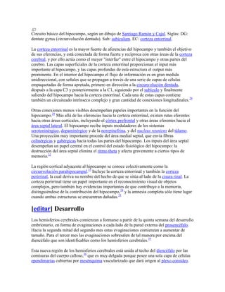 Circuito básico del hipocampo, según un dibujo de Santiago Ramón y Cajal. Siglas: DG:
dentate gyrus (circunvolución dentada). Sub: subiculum. EC: corteza entorrinal.
La corteza entorrinal es la mayor fuente de aferencias del hipocampo y también el objetivo
de sus eferencias, y está conectada de forma fuerte y recíproca con otras áreas de la corteza
cerebral, y por ello actúa como el mayor "interfaz" entre el hipocampo y otras partes del
cerebro. Las capas superficiales de la corteza entorrinal proporcionan el input más
importante al hipocampo, y las capas profundas de esta estructura el output más
prominente. En el interior del hipocampo el flujo de información es en gran medida
unidireccional, con señales que se propagan a través de una serie de capas de células
empaquetadas de forma apretada, primero en dirección a la circunvolución dentada,
después a la capa C3 y posteriormente a la C1, siguiendo por el subículo y finalmente
saliendo del hipocampo hacia la corteza entorrinal. Cada una de estas capas contiene
también un circuiteado intrínseco complejo y gran cantidad de conexiones longitudinales.29
Otras conexiones menos visibles desempeñan papeles importantes en la función del
hipocampo.29
Más allá de las eferencias hacia la corteza entorrinal, existen rutas eferentes
hacia otras áreas corticales, incluyendo el córtex prefrontal y otras áreas eferentes hacia el
área septal lateral. El hipocampo recibe inputs moduladores de los sistemas
serotoninérgico, dopaminérgico y de la norepinefrina, y del nucleus reuniens del tálamo.
Una proyección muy importante procede del área medial septal, que envía fibras
colinérgicas y gabérgicas hacia todas las partes del hipocampo. Los inputs del área septal
desempeñan un papel central en el control del estado fisiológico del hipocampo: la
destrucción del área septal elimina el ritmo theta y afecta gravemente a ciertos tipos de
memoria.32
La región cortical adyacente al hipocampo se conoce colectivamente como la
circunvolución parahipocampal.33
Incluye la corteza entorrinal y también la corteza
perirrinal, la cual deriva su nombre del hecho de que se sitúa al lado de la cisura rinal. La
corteza perirrinal tiene un papel importante en el reconocimiento visual de objetos
complejos, pero también hay evidencias importantes de que contribuye a la memoria,
distinguiéndose de la contribución del hipocampo,34
y la amnesia completa sólo tiene lugar
cuando ambas estructuras se encuentran dañadas.33
[editar] Desarrollo
Los hemisferios cerebrales comienzan a formarse a partir de la quinta semana del desarrollo
embrionario, en forma de evaginaciones a cada lado de la pared externa del prosencéfalo.
Hacia la segunda mitad del segundo mes estas evaginaciones comienzan a aumentar de
tamaño. Para el tercer mes las evaginaciones sobresalen de tal manera por encima del
diencéfalo que son identificables como los hemisferios cerebrales.35
Esta nueva región de los hemisferios cerebrales está unida al techo del diencéfalo por las
comisuras del cuerpo calloso,36
que es muy delgada porque posee una sola capa de células
ependimarias cubiertas por mesénquima vascularizado que dará origen al plexo coroideo.
 