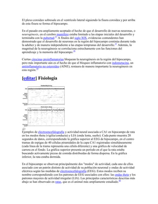 El plexo coroideo sobresale en el ventrículo lateral siguiendo la fisura coroidea y por arriba
de esta fisura se forma el hipocampo.
En el pasado era ampliamente aceptado el hecho de que el desarrollo de nuevas neuronas, o
neurogénesis, en el cerebro mamífero estaba limitado a las etapas iniciales del desarrollo y
terminaba con la pubertad.37
A finales del siglo XIX, evidencias contundentes han
demostrado que el desarrollo de neuronas en la región del hipocampo continúa durante toda
la adultez y de manera independiente a las etapas tempranas del desarrollo.37
Además, la
magnitud de la neurogénesis se correlaciona estrechamente con las funciones del
aprendizaje y la memoria del hipocampo.38
Ciertas citocinas proinflamatorias bloquean la neurogénesis en la región del hipocampo,
pero más importante aún es el hecho de que el bloqueo inflamatorio con indometacina, un
antiinflamatorio no esteroideo (AINE), restaura de manera importante la neurogénesis en
esta región.39
[editar] Fisiología
Ejemplos de electroencefalografía y actividad neural asociada a CA1 en hipocampo de rata
en los modos theta (vigilia/conducta) y LIA (onda lenta, sueño). Cada punto muestra 20
segundos de datos, correspondiendo la gráfica superior al EEG de hipocampo, en el centro
tramas de espigas de 40 células piramidales de la capa CA1 registradas simultáneamente
(cada línea de la trama representa una célula diferente) y una gráfica de velocidad de
carrera en el fondo. La gráfica superior presenta un período en el que la rata estaba
buscando activamente piezas de comida distribuidas de forma dispersa. En la gráfica
inferior, la rata estaba dormida.
En el hipocampo se observan principalmente dos "modos" de actividad, cada uno de ellos
asociado con un patrón distinto de actividad de su población neuronal y ondas de actividad
eléctrica según las medidas de electroencefalografía (EEG). Estos modos reciben su
nombre correspondiendo con los patrones de EEG asociados con ellos: las ondas theta y los
patrones mayores de actividad irregular (LIA). Las principales características descritas más
abajo se han observado en ratas, que es el animal más ampliamente estudiado.40
 