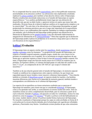 No se comprende bien las causas de la esquizofrenia, pero se han publicado numerosas
anormalidades en la estructura cerebral. Las alteraciones más ampliamente estudiadas
implican la corteza cerebral, pero también se han descrito efectos sobre el hipocampo.
Muchos estudios han encontrado reducciones en el tamaño del hipocampo en sujetos
esquizofrénicos.71
Los cambios probablemente tienen lugar por una alteración del
desarrollo más que por un daño tisular, y aparecen incluso en sujetos que nunca han sido
medicados. Diversas líneas de evidencia implican cambios en la organización sináptica y en
la conectividad.71
No está claro si las alteraciones en el hipocampo desempeñan un papel
produciendo los síntomas psicóticos que son el rasgo más importante de la esquizofrenia.
Anthony Grace y sus colaboradores han sugerido, basándose en trabajos experimentales
con animales, que la disfunción del hipocampo podría producir una alteración de la
liberación de dopamina en los ganglios basales y por ello afectando indirectamente la
integración de información en la corteza prefrontal.72
Otros han sugerido que la disfunción
del hipocampo podría explicar los problemas en la memoria a largo plazo que se observan
con frecuencia en los esquizofrénicos.73
[editar] Evolución
El hipocampo tiene un aspecto similar entre los mamíferos, desde monotremas como el
equidna a primates como los humanos.74
La proporción del tamaño del hipocampo con
respecto al tamaño corporal aumenta a grandes rasgos, siendo dos veces mayor en los
primates en comparación con el equidna. No se incrementa en ningún organismo de una
forma que se aproxime siquiera a cómo lo hace la tasa del neocórtex/tamaño corporal. Por
tanto, el hipocampo ocupa una fracción mucho mayor de la corteza en roedores que en
primates. En humanos adultos, el volumen del hipocampo en cada lado del cerebro es de
unos 3–3,5 cm3
, en comparación de los 320–420 cm3
que ocupa el volumen del
neocórtex.75
También se da una relación general entre el tamaño del hipocampo y la memoria espacial.
Cuando se establecen las comparaciones entre especies similares, las que tienen una
capacidad espacial mayor tienden a tener mayores volúmenes hipocampales.76
Esta relación
también se extiende al dimorfismo sexual: en especies donde los machos y las hembras
muestran diferencias muy fuertes en la capacidad de memoria espacial, también tienden a
corresponderse con diferencias en el volumen del hipocampo.77
Las especies de no-mamíferos no tienen estructuras cerebrales que se parezcan al
hipocampo de mamífero, pero tienen una que es considerada homóloga. El hipocampo,
como se ha apuntado más arriba, es esencialmente el extremo medial del córtex. Sólo los
mamíferos tienen un córtex completamente desarrollado, pero la estructura a partir de la
cual evolucionó, llamado el pallium, está presente en todos los vertebrados, incluso los más
primitivos como la lamprea o los mixinos.78
El palio o pallium se divide habitualmente en
tres zonas: medial, lateral y dorsal. El pallium medial forma el precursor del hipocampo.
No recuerda visualmente al hipocampo porque las capas no están arrolladas en forma de S
o envueltas por la circunvolución dentada, pero la homología está sugerida por afinidades
químicas y funcionales muy fuertes. Actualmente existen pruebas de que estas estructuras
 