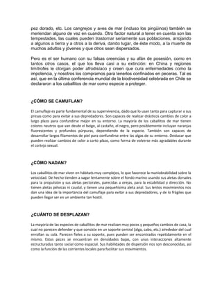 pez dorado, etc. Los cangrejos y aves de mar (incluso los pingüinos) también se
meriendan alguno de vez en cuando. Otro factor natural a tener en cuenta son las
tempestades, las cuales pueden trastornar seriamente sus poblaciones, arrojando
a algunos a tierra y a otros a la deriva, dando lugar, de éste modo, a la muerte de
muchos adultos y jóvenes y que otros sean dispersados.

Pero es el ser humano con su falsas creencias y su afán de posesión, como en
tantos otros casos, el que los lleva casi a su extinción: en China y regiones
limítrofes le otorgan poder afrodisíaco y creen que cura enfermedades como la
impotencia, y nosotros los compramos para tenerlos confinados en peceras. Tal es
así, que en la última conferencia mundial de la biodiversidad celebrada en Chile se
declararon a los caballitos de mar como especie a proteger.



¿CÓMO SE CAMUFLAN?

El camuflaje es parte fundamental de su supervivencia, dado que lo usan tanto para capturar a sus
presas como para evitar a sus depredadores. Son capaces de realizar drásticos cambios de color a
largo plazo para confundirse mejor en su entorno. La mayoría de los caballitos de mar tienen
colores neutros que van desde el beige, al castaño, el negro, pero posiblemente incluyan naranjas
fluorescentes y profundos púrpuras, dependiendo de la especie. También son capaces de
desarrollar largos filamentos de piel para confundirse entre las algas de su entorno. Destacar que
pueden realizar cambios de color a corto plazo, como forma de volverse más agradables durante
el cortejo sexual.



¿CÓMO NADAN?

Los caballitos de mar viven en hábitats muy complejos, lo que favorece la maniobrabilidad sobre la
velocidad. De hecho tienden a vagar lentamente sobre el fondo marino usando sus aletas dorsales
para la propulsión y sus aletas pectorales, parecidas a orejas, para la estabilidad y dirección. No
tienen aletas pélvicas ni caudal, y tienen una pequeñísima aleta anal. Sus lentos movimientos nos
dan una idea de la importancia del camuflaje para evitar a sus depredadores, y de lo frágiles que
pueden llegar ser en un ambiente tan hostil.



¿CUÁNTO SE DESPLAZAN?

La mayoría de las especies de caballitos de mar realizan muy pocos y pequeños cambios de casa, la
cual no parecen defender y que consiste en un soporte central (alga, cabo, etc.) alrededor del cual
enrollan su cola. Parecen fieles a su soporte, pues pueden ser encontrados repetidamente en el
mismo. Estos peces se encuentran en densidades bajas, con unas interacciones altamente
estructuradas tanto social como espacial. Sus habilidades de dispersión nos son desconocidas, así
como la función de las corrientes locales para facilitar sus movimientos.
 