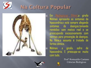  Em Madagascar (filme),a girafa
Melman apresenta os sintomas da
hipocondria,e está sempre alegando
sintomas de doenças,tomando
remédios sem motivo real e se
preocupando excessivamente com
normas para prevenção de doenças.
No filme,o assunto é tratado de
forma cômica.
 Melman, a girafa, sofre de
hipocondria. E preocupa-se muito
com tudo.
Profº Romualdo Caetano
Ciências Biológicas
 
