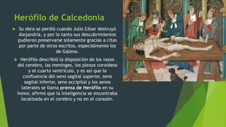 Herófilo de Calcedonia
 Su obra se perdió cuando Julio César destruyó
Alejandría, y por lo tanto sus descubrimientos
pudieron preservarse solamente gracias a citas
por parte de otros escritos, especialmente los
de Galeno.
 Herófilo describió la disposición de los vasos
del cerebro, las meninges, los plexos coroideos
y el cuarto ventrículo, y es así que la
confluencia del seno sagital superior, seno
sagital inferior, seno occipital y los senos
laterales se llama prensa de Herófilo en su
honor, afirmó que la inteligencia se encontraba
localizada en el cerebro y no en el corazón.
 