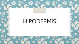 HIPODERMIS
 