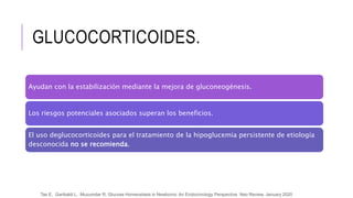 GLUCOCORTICOIDES.
Ayudan con la estabilización mediante la mejora de gluconeogénesis.
Los riesgos potenciales asociados superan los beneficios.
El uso deglucocorticoides para el tratamiento de la hipoglucemia persistente de etiología
desconocida no se recomienda.
Tas E, Garibaldi L, Muzumdar R, Glucose Homeostasis in Newborns: An Endocrinology Perspective Neo Review, January 2020
 