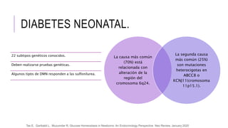 DIABETES NEONATAL.
.
La causa más común
(70%) está
relacionada con
alteración de la
región del
cromosoma 6q24.
La segunda causa
más común (25%)
son mutaciones
heterocigotas en
ABCC8 o
KCNJ11(cromosoma
11p15.1).
22 subtipos genéticos conocidos.
Deben realizarse pruebas genéticas.
Algunos tipos de DMN responden a las sulfonilurea.
Tas E, Garibaldi L, Muzumdar R, Glucose Homeostasis in Newborns: An Endocrinology Perspective Neo Review, January 2020
 