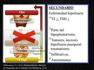 SECUNDARIO
Enfermedad hipofisaria
*T4 ↓, TSH ↓
*Parte del
hipopituitarismo.
*Tumores, necrosis
hipofisaria puerperal,
traumatismo.
*Infiltrativas.
*Autoinmunes
Villanueva, V. J. (s.f.). Hipotiroidismo. Revista
de Posgrado de la Cátedra VIa Medicina, 3-12.
 