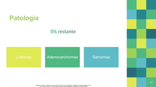 Patología
5% restante
17
Linfomas Adenocarcinomas Sarcomas
Bahadur S, Thakar A, Mohanti B. Carcinoma of the Larynx and Hypopharynx. Singapore: Springer Singapore; 2019.
 