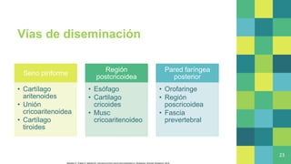 Vías de diseminación
Seno piriforme
• Cartílago
aritenoides
• Unión
cricoaritenoidea
• Cartílago
tiroides
Región
postcricoidea
• Esófago
• Cartilago
cricoides
• Musc
cricoaritenoideo
Pared faríngea
posterior
• Orofaringe
• Región
poscricoidea
• Fascia
prevertebral
23
Bahadur S, Thakar A, Mohanti B. Carcinoma of the Larynx and Hypopharynx. Singapore: Springer Singapore; 2019.
 
