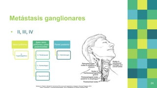 Metástasis ganglionares
▪ II, III, IV
24
Bahadur S, Thakar A, Mohanti B. Carcinoma of the Larynx and Hypopharynx. Singapore: Springer Singapore; 2019.
Flint P, Cummings C. Cummings otolaryngology. 7th ed. Philadelphia, Pa: Elsevier, Saunders; 2020
Seno piriforme
G.
Yugulodigastrico
Apex seno
piriforme y área
postcricoidea
G. Paratraqueal
G. Paraesofagico
G, Supraclavicular
Pared posterior
G. Retrofaringeo
 