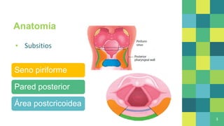 Anatomía
▪ Subsitios
3
Seno piriforme
Pared posterior
Área postcricoidea
 