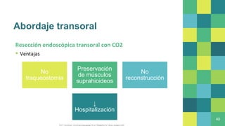 Abordaje transoral
Resección endoscópica transoral con CO2
▪ Ventajas
40
No
traqueostomia
Preservación
de músculos
suprahioideos
No
reconstrucción
↓
Hospitalización
Flint P, CummingsC. Cummingsotolaryngology.7th ed. Philadelphia,Pa: Elsevier, Saunders;2020
 