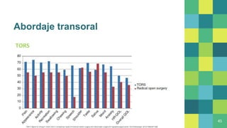 Abordaje transoral
TORS
45
Park Y, Byeon H, Chung H, Choi E, Kim S. Comparison study of transoral robotic surgery and radical open surgery for hypopharyngeal cancer. Acta Otolaryngol. 2013;133(6):641-648.
 