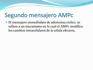 Segundo mensajero AMPcEl mensajero monofosfato de adenosina cíclico  se refiere a un mecanismo en la cual el AMPc modifica los cambios intracelulares de la célula efectora.