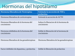 Hormonas del hipotálamo
