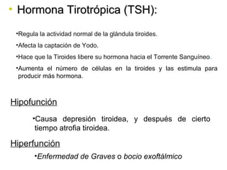 • HHoorrmmoonnaa TTiirroottrróóppiiccaa ((TTSSHH)):: 
•Regula la actividad normal de la glándula tiroides. 
•Afecta la captación de Yodo. 
•Hace que la Tiroides libere su hormona hacia el Torrente Sanguíneo. 
•Aumenta el número de células en la tiroides y las estimula para 
producir más hormona. 
Hipofunción 
•Causa depresión tiroidea, y después de cierto 
tiempo atrofia tiroidea. 
Hiperfunción 
•Enfermedad de Graves o bocio exoftálmico 
 