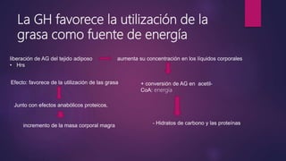 La GH favorece la utilización de la
grasa como fuente de energía
liberación de AG del tejido adiposo
• Hrs
aumenta su concentración en los líquidos corporales
+ conversión de AG en acetil-
CoA: energía
- Hidratos de carbono y las proteínas
Efecto: favorece de la utilización de las grasa
Junto con efectos anabólicos proteicos,
incremento de la masa corporal magra
 