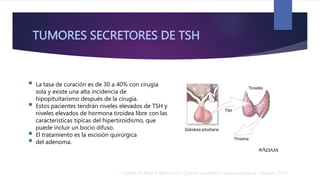 TUMORES SECRETORES DE TSH
 La tasa de curación es de 30 a 40% con cirugía
sola y existe una alta incidencia de
hipopituitarismo después de la cirugía.
 Estos pacientes tendrán niveles elevados de TSH y
niveles elevados de hormona tiroidea libre con las
características típicas del hipertiroidismo, que
puede incluir un bocio difuso.
 El tratamiento es la escisión quirúrgica
 del adenoma.
Cottrell JE, Patel P, Warner DS. Cottrell and Patel's neuroanesthesia : Elsevier; 2017
 