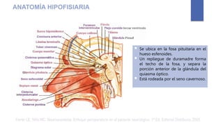  Se ubica en la fosa pituitaria en el
hueso esfenoides.
 Un repliegue de duramadre forma
el techo de la fosa, y separa la
porción anterior de la glándula del
quiasma óptico.
 Está rodeada por el seno cavernoso.
Ferrer LE, Niño MC. Neuroanestesia: Enfoque perioperatorio en el paciente neurológico. 1ª Ed. Editorial Distribuna. 2005.
ANATOMÍA HIPOFISIARIA
 