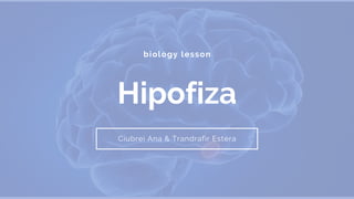 biology lesson
Hipofiza
Ciubrei Ana & Trandrafir Estera
 