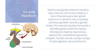Hipofiza.pdf