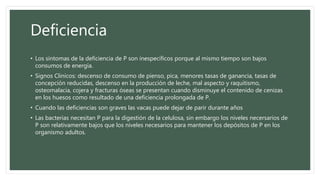 Deficiencia
• Los síntomas de la deficiencia de P son inespecíficos porque al mismo tiempo son bajos
consumos de energía.
• Signos Clinicos: descenso de consumo de pienso, pica, menores tasas de ganancia, tasas de
concepción reducidas, descenso en la producción de leche, mal aspecto y raquitismo,
osteomalacia, cojera y fracturas óseas se presentan cuando disminuye el contenido de cenizas
en los huesos como resultado de una deficiencia prolongada de P.
• Cuando las deficiencias son graves las vacas puede dejar de parir durante años
• Las bacterias necesitan P para la digestión de la celulosa, sin embargo los niveles necersarios de
P son relativamente bajos que los niveles necesarios para mantener los depósitos de P en los
organismo adultos.
 