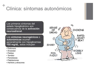 + 
Clínica: síntomas autonómicos 
Los primeros síntomas del 
estado hipoglicémico son 
consecuencia de la activación 
neuroadrenal. 
Los síntomas neurogénicos o 
autonómicos ocurren 
generalmente con hipoglicemias 
<55 mg/dL, estos incluyen 
• Diaforesis 
• Ansiedad 
• Palidez 
• Temblor 
• Parestesias 
• Palpitaciones 
• Hambre y atracones 
 