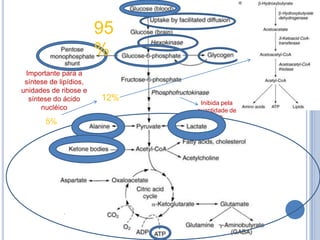 Importante para a
síntese de lipídios,
unidades de ribose e
síntese do ácido
nucléico
Inibida pela
quantidade de
ATP
95
%
5%
12%
 