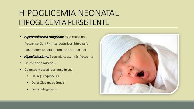 Hipoglicemia neonatal Hipoglicemia neonatal