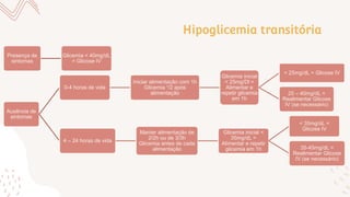 Hipoglicemia transitória
Presença de
sintomas
Glicemia < 40mg/dL
= Glicose IV
Ausência de
sintomas
0-4 horas de vida
Iniciar alimentação com 1h
Glicemia ¹/2 após
alimentação
Glicemia inicial
< 25mg/Dl =
Alimentar e
repetir glicemia
em 1h
< 25mg/dL = Glicose IV
25 – 40mg/dL =
Realimentar Glicose
IV (se necessário)
4 – 24 horas de vida
Manter alimentação de
2/2h ou de 3/3h
Glicemia antes de cada
alimentação
Glicemia inicial <
35mg/dL =
Alimentar e repetir
glicemia em 1h
< 35mg/dL =
Glicose IV
35-45mg/dL =
Realimentar Glicose
IV (se necessário)
 