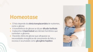 Homeotase
● O feto depende da oferta transplacentária de nutrientes,
como a glicose
● A transferência da glicose se dá por difusão facilitada
● A placenta é impermeável aos demais hormônios que
controlam a glicemia
● Havendo oferta de glicose que ultrapasse as
necessidades energéticas de crescimento do feto, o
excesso é acumulado como glicogênio hepático
 