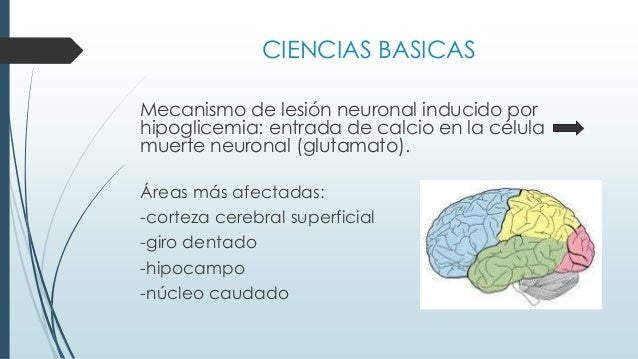HIPOGLUCEMIA NEONATAL PRESETACION HIPOGLUCEMIA NEONATAL PRESETACION