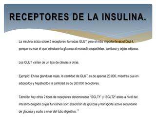  La insulina actúa sobre 5 receptores llamadas GLUT pero el más importante es el Glut 4,
porque es este el que introduce la glucosa al musculo esquelético, cardiaco y tejido adiposo.
 Los GLUT varían de un tipo de células a otras.
 Ejemplo: En las glándulas rojas, la cantidad de GLUT es de apenas 20.000, mientras que en
adipocitos y hepatocitos la cantidad es de 300.000 receptores.
 También hay otros 2 tipos de receptores denominados “SGLT1” y “SGLT2” estos a nivel del
intestino delgado cuyas funciones son: absorción de glucosa y transporte activo secundario
de glucosa y sodio a nivel del tubo digestivo.
13
RECEPTORES DE LA INSULINA.
 