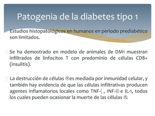  Estudios histopatológicos en humanos en periodo prediabético
son limitados.
 Se ha demostrado en modelo de animales de DM1 muestran
infiltrados de linfocitos T con predominio de células CD8+
(insulitis).
 La destrucción de células es mediada por inmunidad celular, y
también hay evidencia de que las células infiltrativas producen
agentes inflamatorios locales como TNF- , INF- e IL-1, todos
los cuales pueden ocasionar la muerte de las células .
Patogenia de la diabetes tipo 1
 