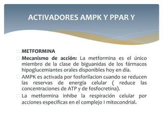  METFORMINA
 Mecanismo de acción: La metformina es el único
miembro de la clase de biguanidas de los fármacos
hipoglucemiantes orales disponibles hoy en día.
 AMPK es activada por fosforilacion cuando se reducen
las reservas de energía celular ( reduce las
concentraciones de ATP y de fosfocretina).
 La metformina inhibe la respiración celular por
acciones especificas en el complejo I mitocondrial.
ACTIVADORES AMPK Y PPAR Y
 