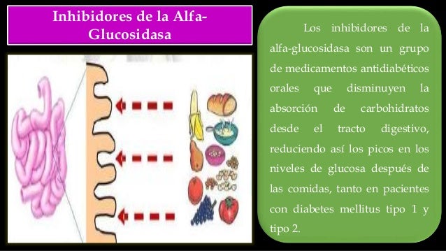 Hipoglicemiantes Orales e Insulina Hipoglicemiantes Orales e Insulina