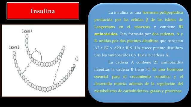 Hipoglicemiantes Orales e Insulina Hipoglicemiantes Orales e Insulina