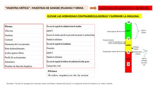 "MUESTRA CRÍTICA" : MUESTRAS DE SANGRE (PLASMA) Y ORINA GLUCOSA PLASMÁTICA <50 MG/DL
ELEVAR LAS HORMONAS CONTRARREGULADORAS Y SUPRIMIR LA INSULINA.
Rosenfeld E, Thornton PS. Hypoglycemia in Neonates, Infants, and Children. [Updated 2023 Aug 22]. In: Feingold KR, Ahmed SF, Anawalt B, et al., editors. Endotext
 