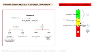 "MUESTRA CRÍTICA" : MUESTRAS DE SANGRE (PLASMA) Y ORINA GLUCOSA PLASMÁTICA <50 MG/DL
Rosenfeld E, Thornton PS. Hypoglycemia in Neonates, Infants, and Children. [Updated 2023 Aug 22]. In: Feingold KR, Ahmed SF, Anawalt B, et al., editors. Endotext
 