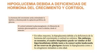 HIPOGLUCEMIA DEBIDA A DEFICIENCIAS DE
HORMONA DEL CRECIMIENTO Y CORTISOL
• En niños mayores, la hipoglucemia debida a la deficiencia de la
hormona del crecimiento o cortisol es cetósica. Sin embargo,
en neonatos, el cuadro bioquímico puede ser similar al del
hiperinsulinismo debido tanto a la conservación inadecuada
de las reservas de glucógeno durante la hipoglucemia como a
la cetogénesis inmadura a esta edad.
La hormona del crecimiento actúa estimulando la
lipólisis y disminuyendo la captación periférica de
glucosa.
El cortisol estimula la gluconeogénesis y la liberación de
sustratos gluconeogénicos, como la alanina, desde el
músculo.
 