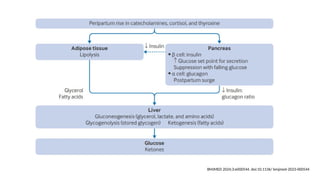 BMJMED 2024;3:e000544. doi:10.1136/ bmjmed-2023-000544
 