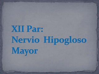 XII Par:Nervio  HipoglosoMayor 