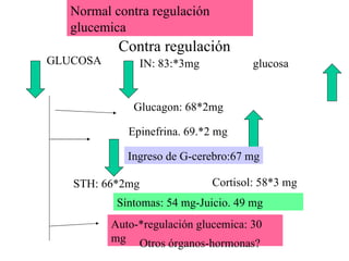 Contra regulación Normal contra regulación glucemica GLUCOSA IN: 83:*3mg glucosa Glucagon: 68*2mg Epinefrina. 69.*2 mg Ingreso de G-cerebro:67 mg STH: 66*2mg Cortisol: 58*3 mg Síntomas: 54 mg-Juicio. 49 mg Auto-*regulación glucemica: 30 mg Otros órganos-hormonas? 